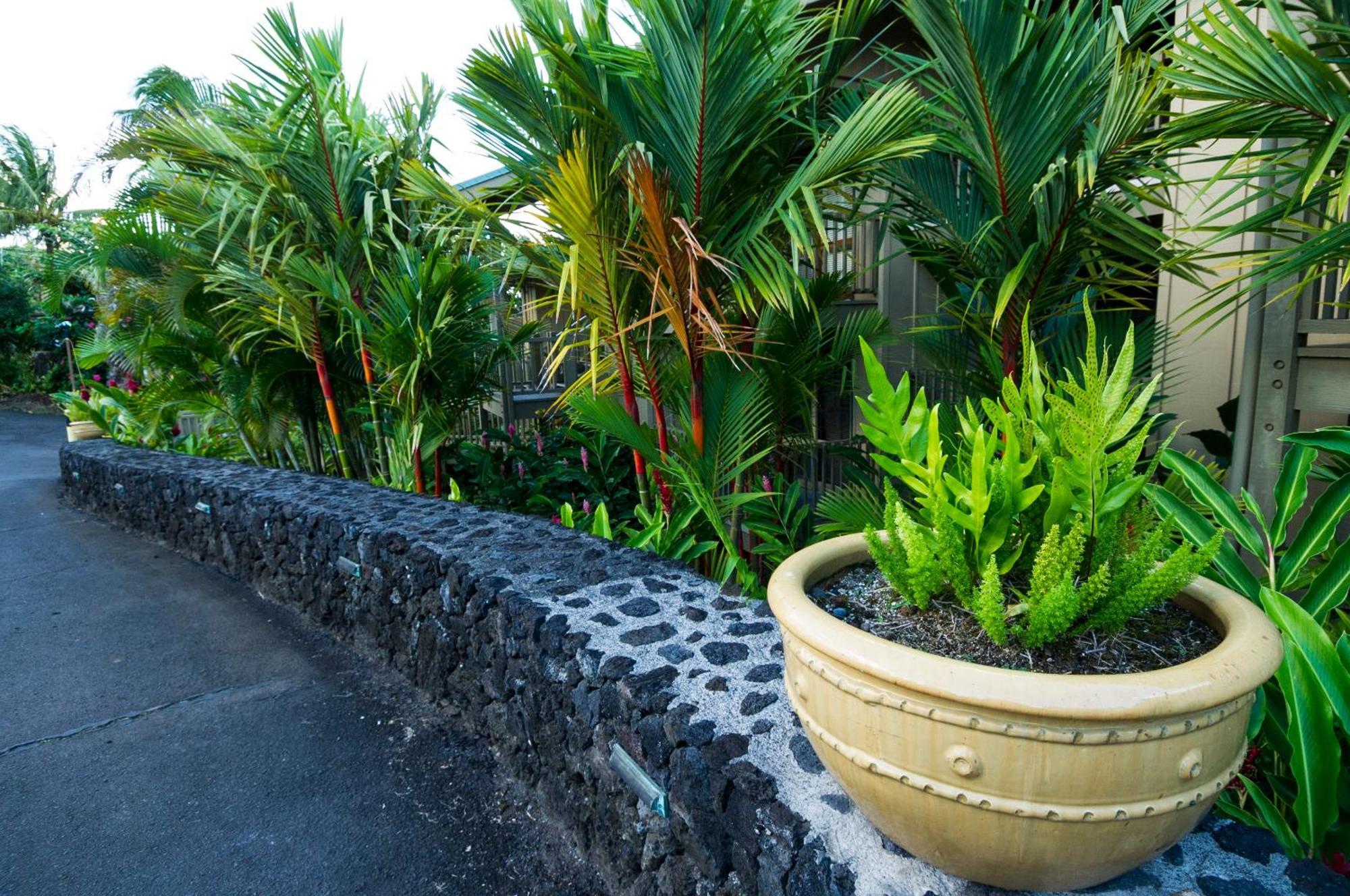 Hana Kai Maui - #107 Kama Partial Oceanview 1 Br Esterno foto